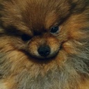 Александра