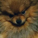 Александра